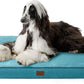 Orthopedic Memory Foam Dog Bed