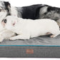 Orthopedic Memory Foam Dog Bed