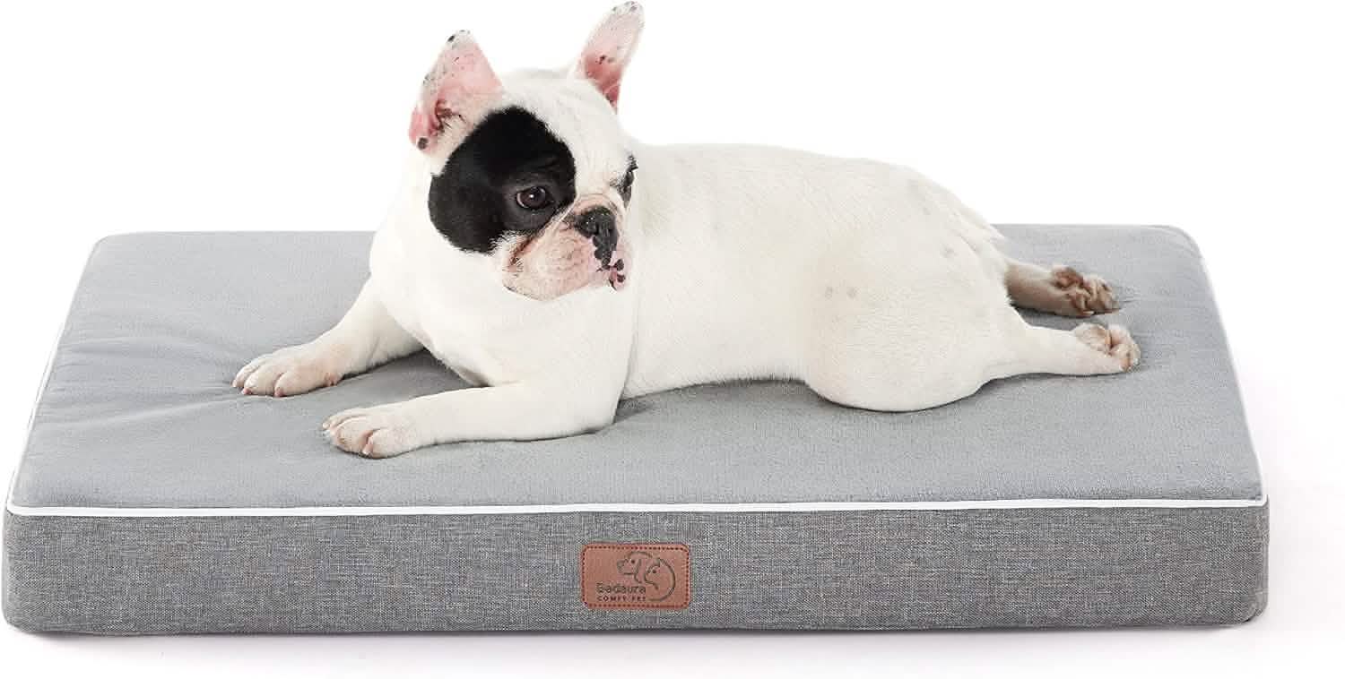 Plush Dog Bed