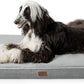 Orthopedic Memory Foam Dog Bed