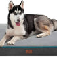 Orthopedic Memory Foam Dog Bed