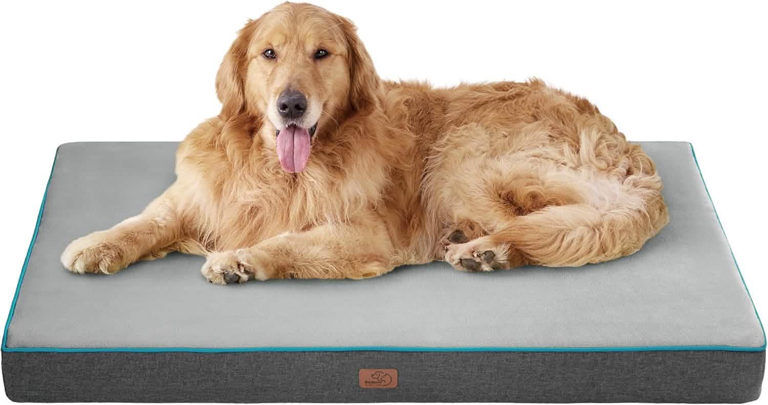 Plush Dog Bed