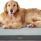 Orthopedic Memory Foam Dog Bed