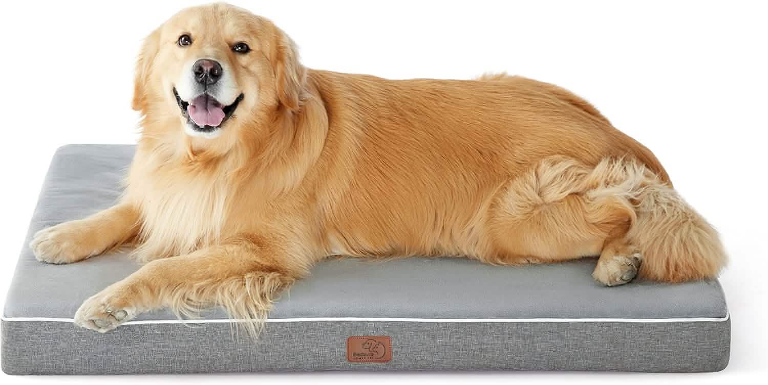 Plush Dog Bed
