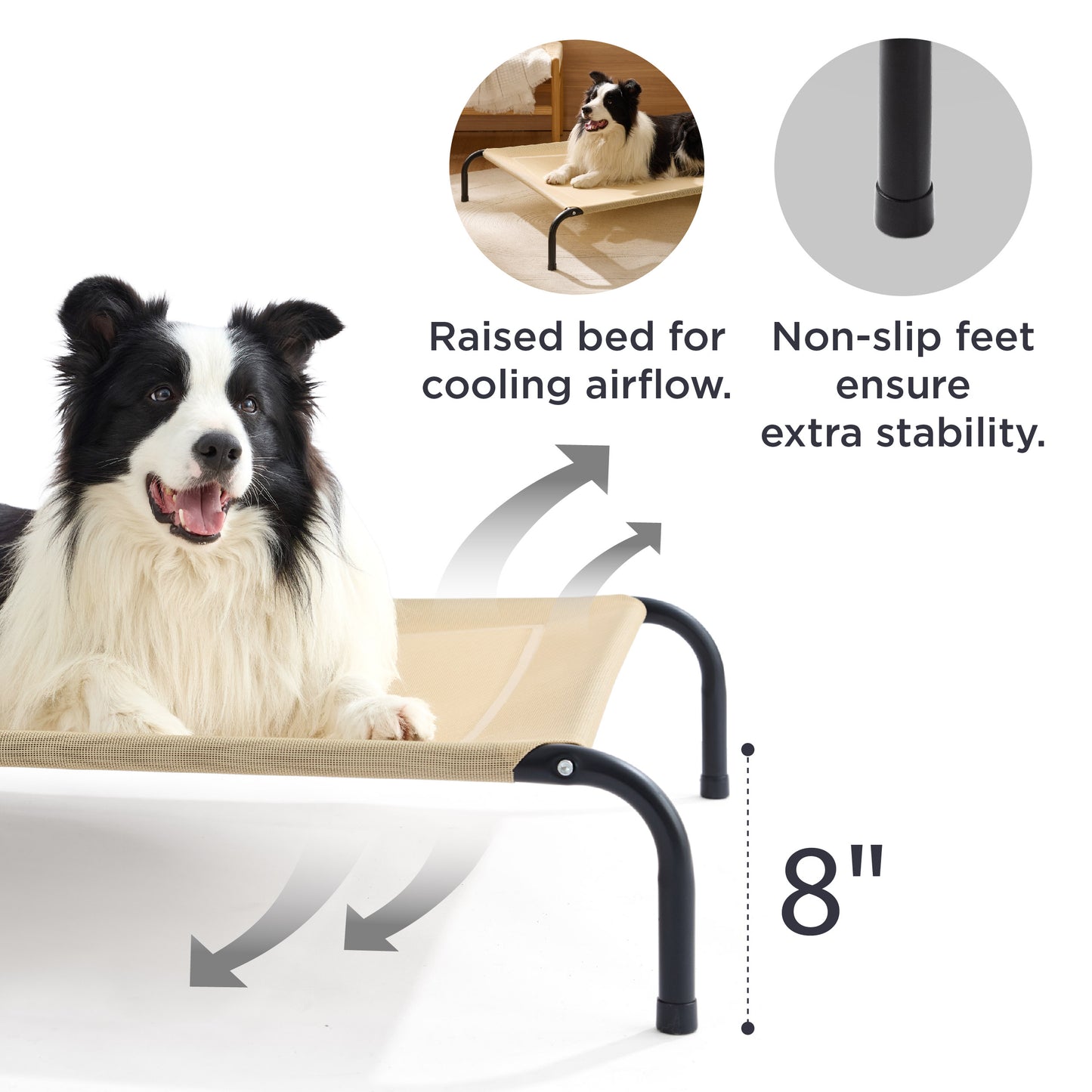 Elevated Dog Bed