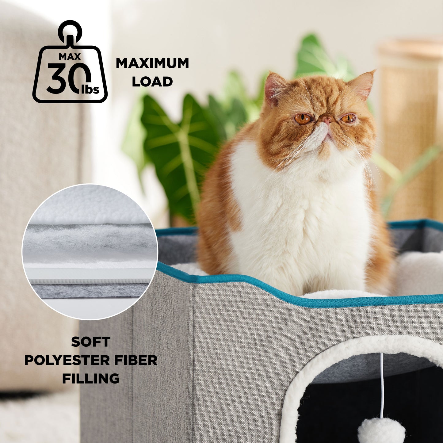 Cat Beds for Indoor Pet Cat House