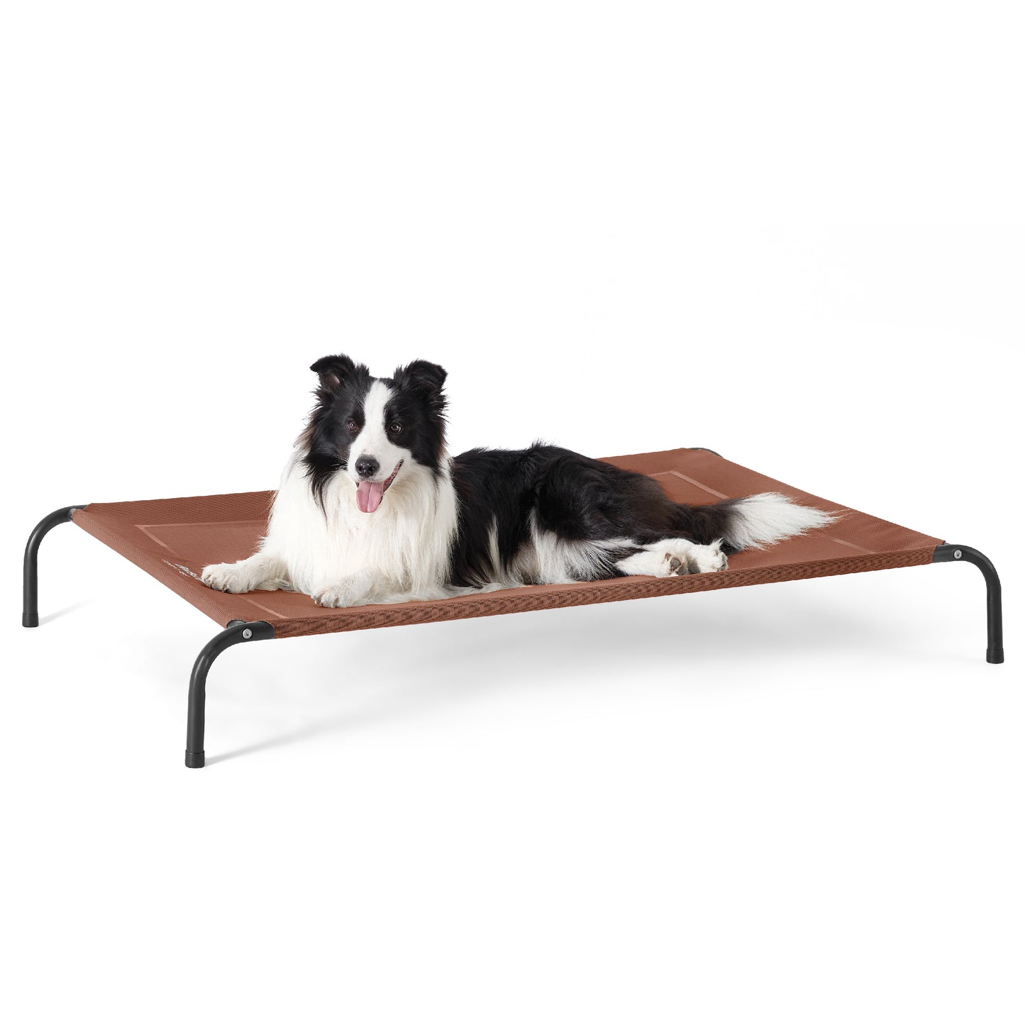 Elevated Dog Bed