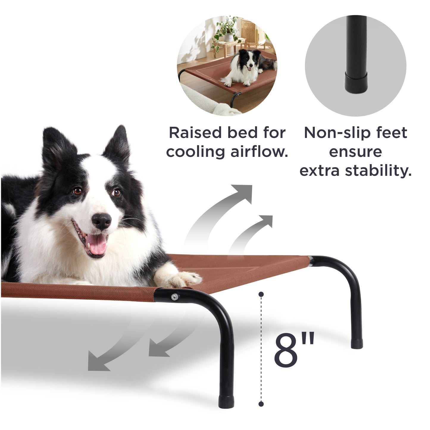 Elevated Dog Bed