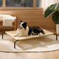 Elevated Dog Bed
