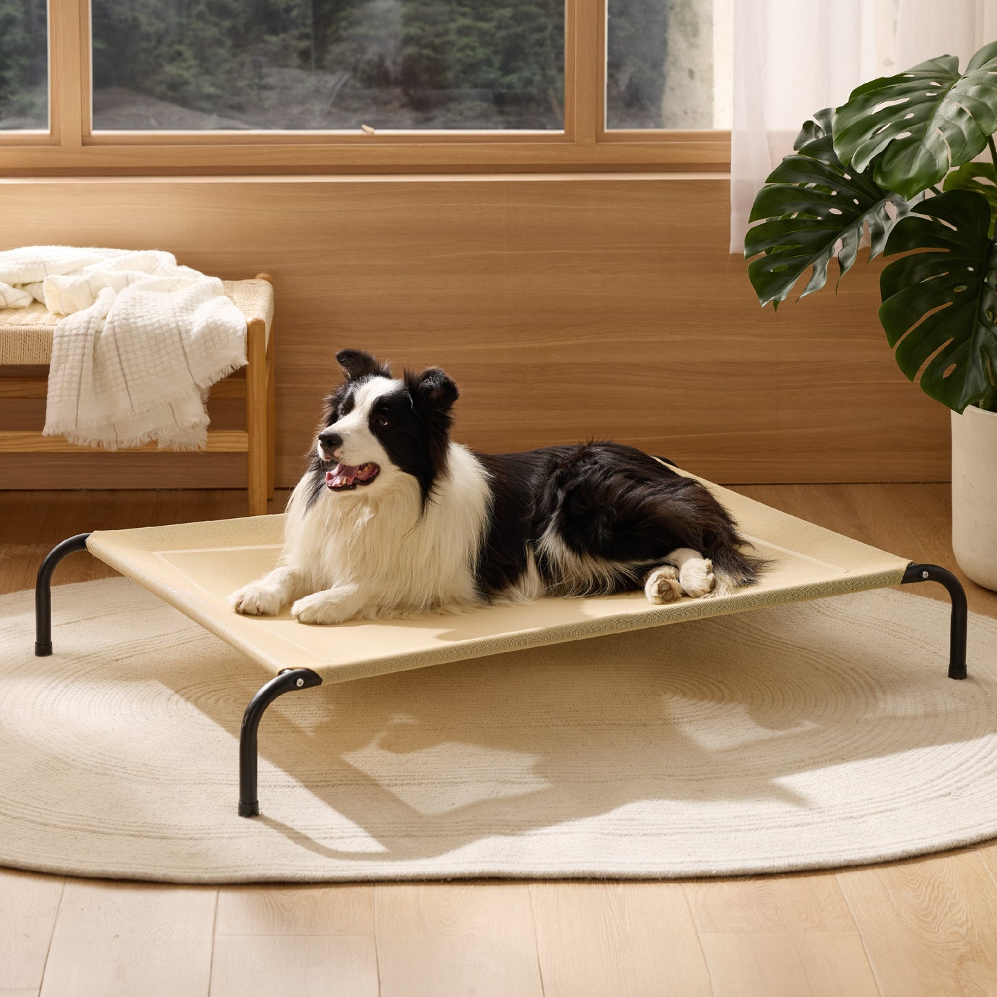 Elevated Dog Bed
