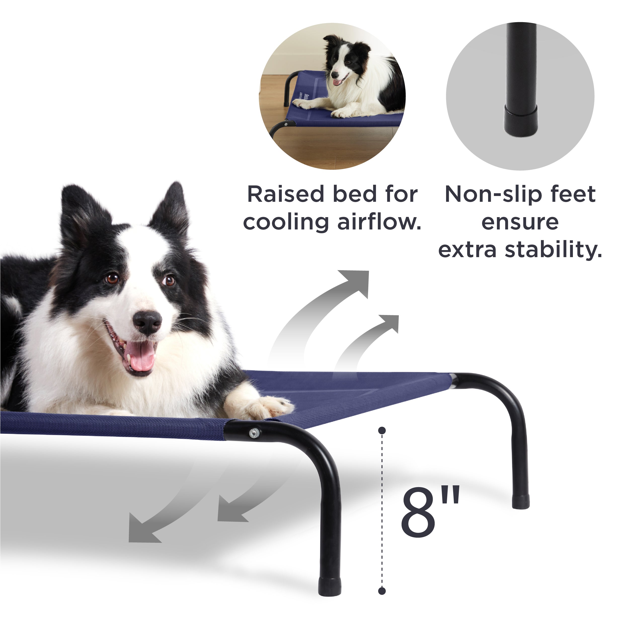 Elevated Dog Bed