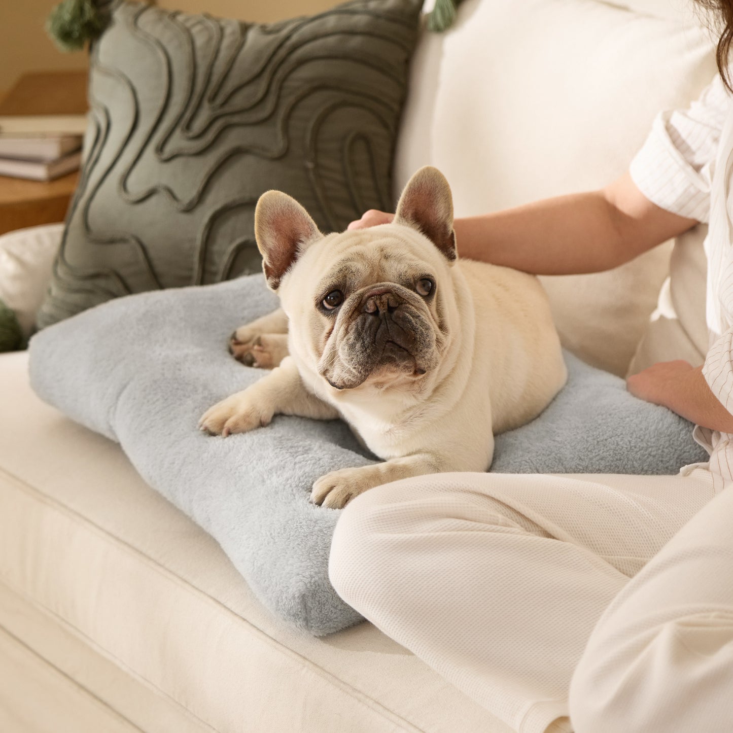 Fluffy Dog Mat