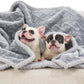 Waterproof Dog Blanket