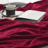 Bedsure Flannel Fleece Blanket 300gsm-2