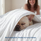 Cooloxy Breathable Cooling Comforter