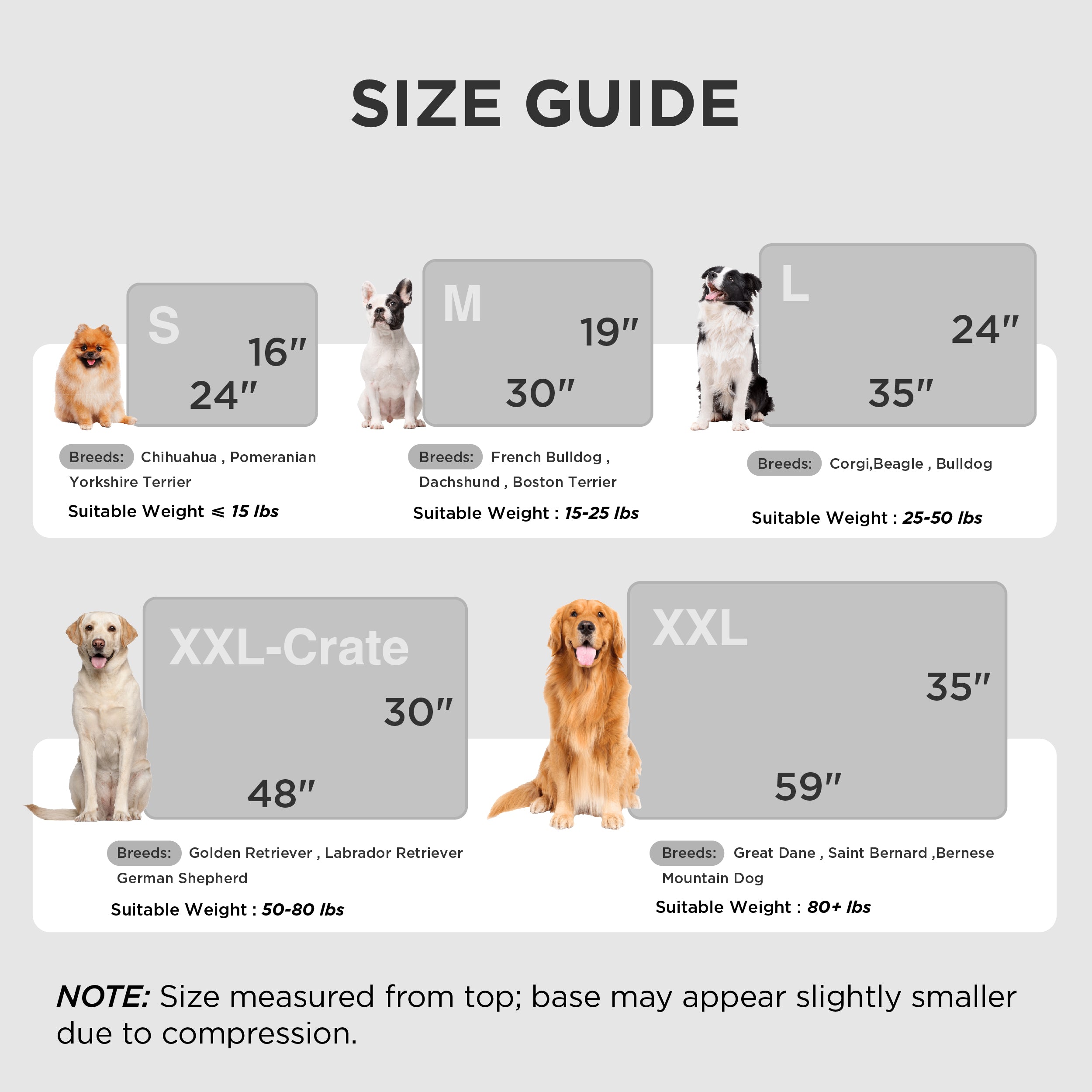 Dog Doormat for Muddy Paws | Chenille Paw Cleaning Mat – Bedsure