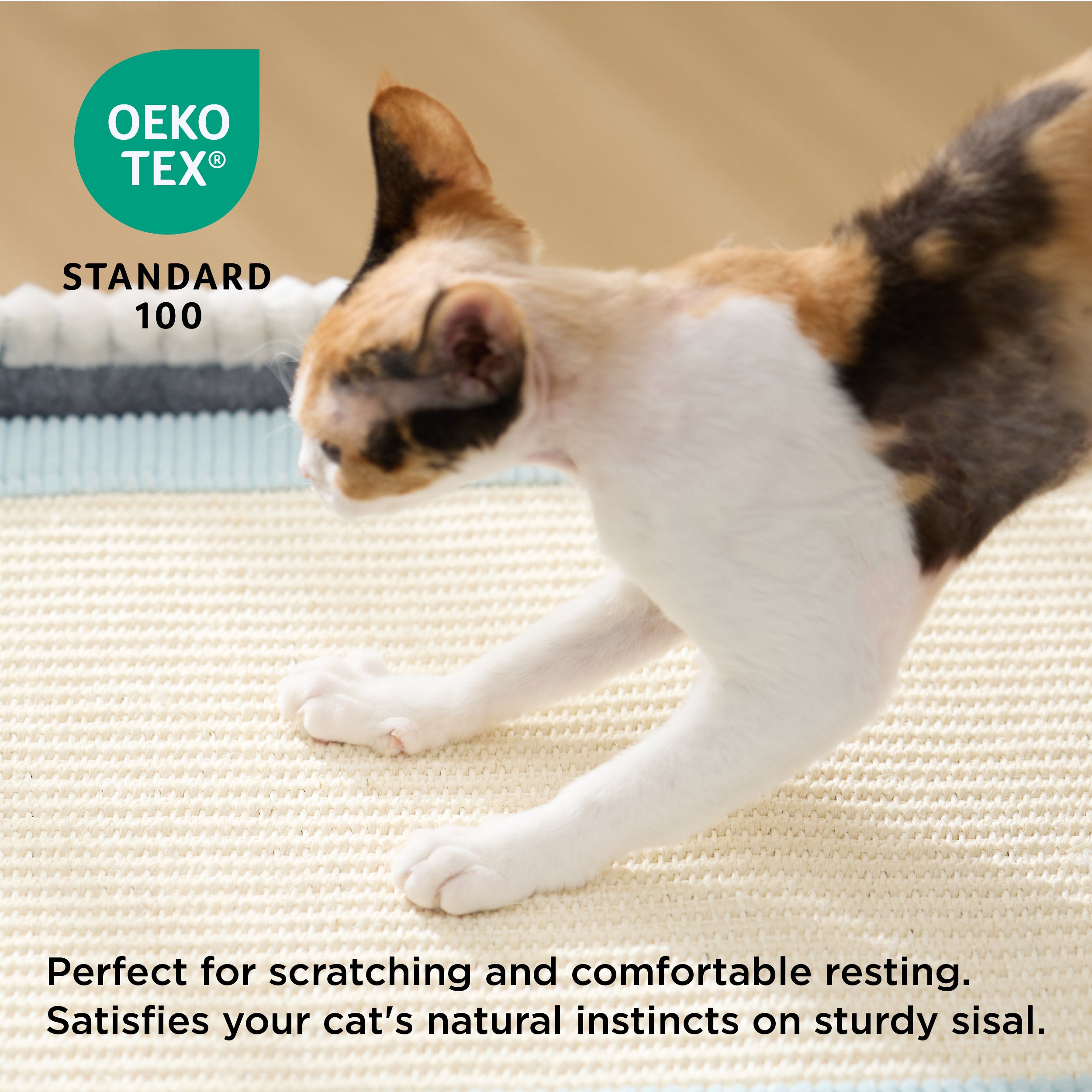 2-in-1 Corduroy Cat Scratcher House