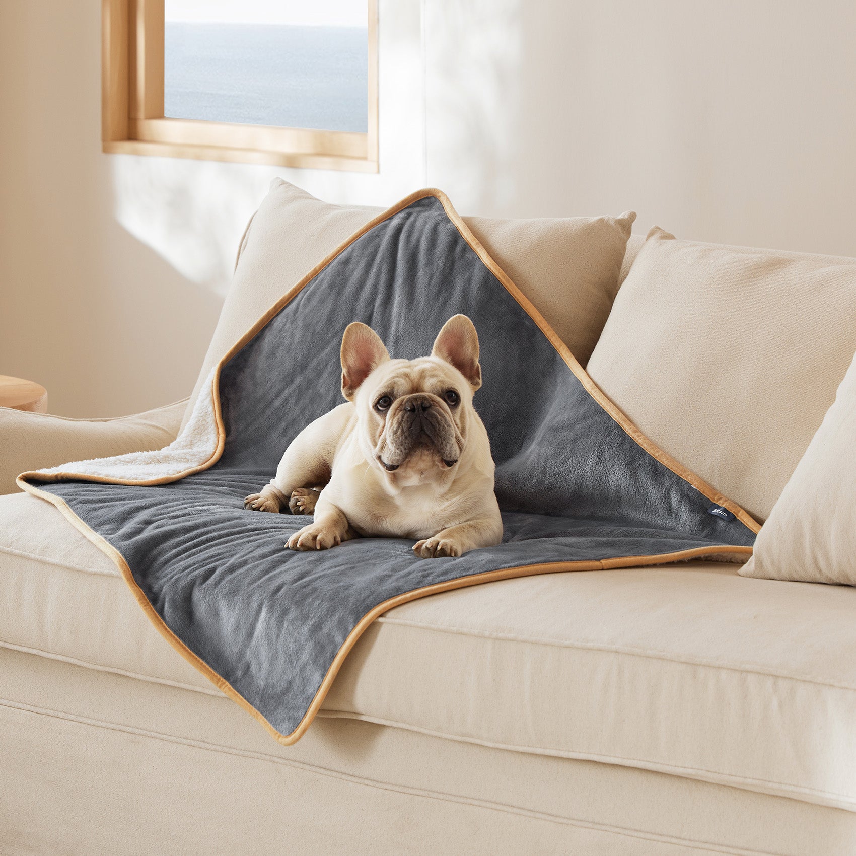 Reversible Sherpa and Microfiber Fleece Dog Blanket