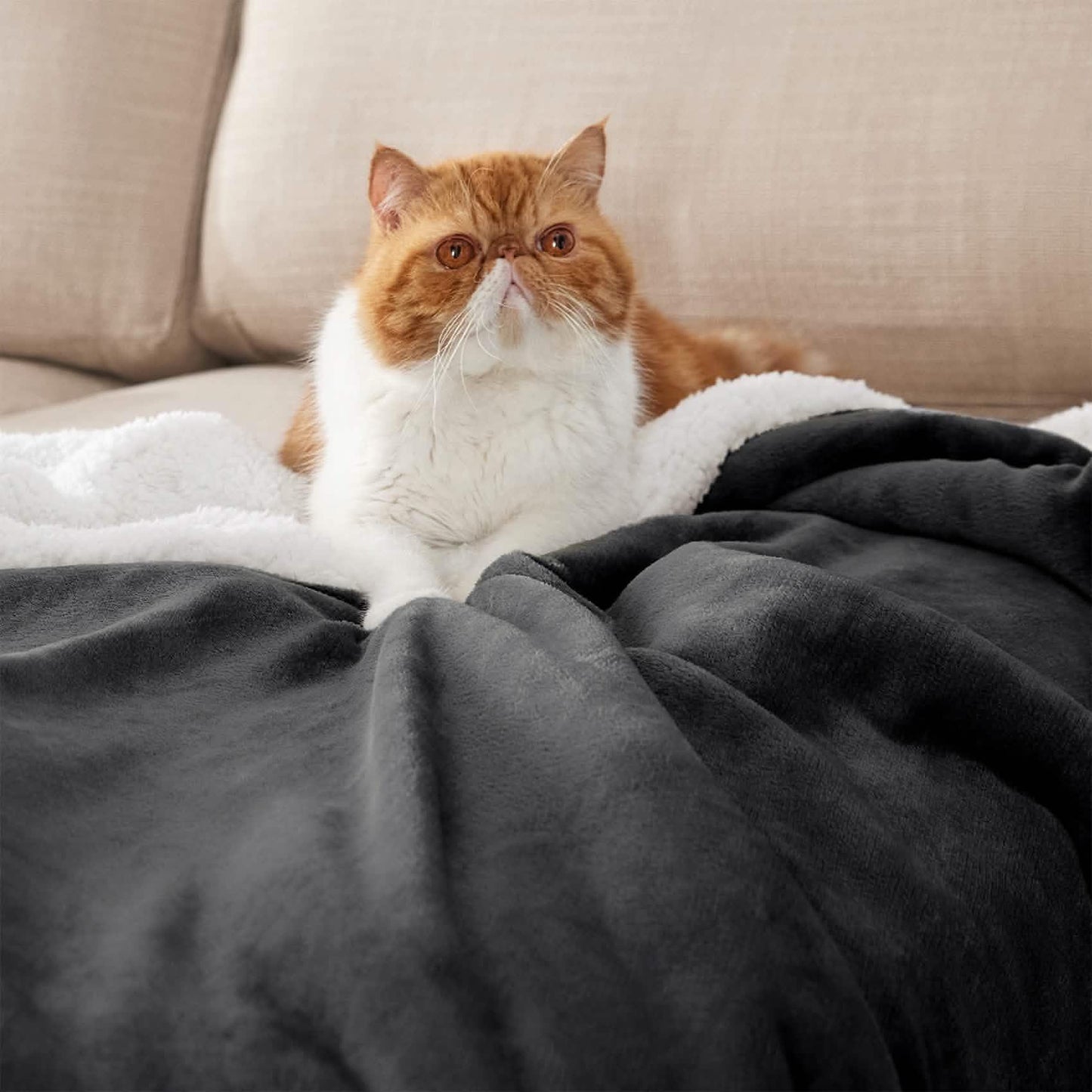 Sherpa Fleece Blanket