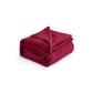 Flannel Fleece Blanket 300gsm-2