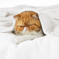 GentleSoft™ Flannel Fleece Blanket 280gsm