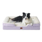 Orthopedic Dog Sofa