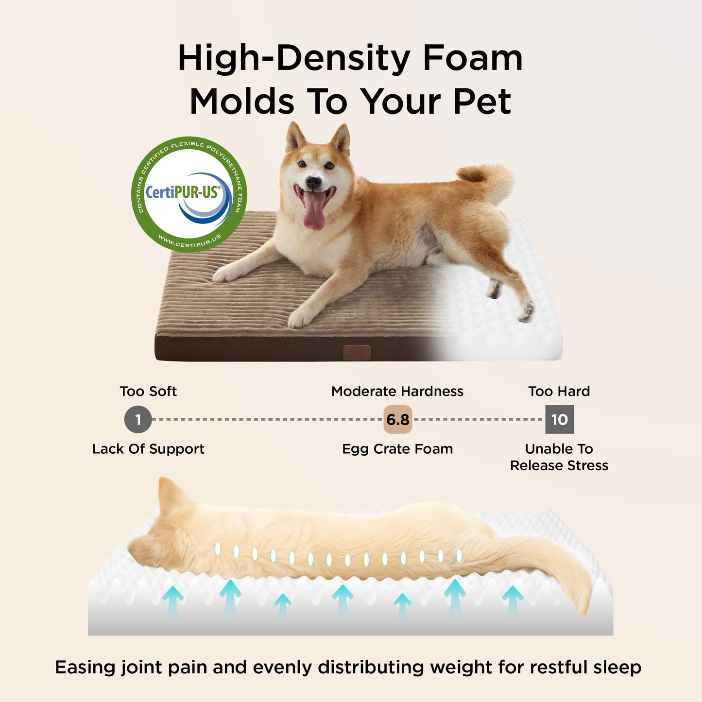 Orthopedic Dog Bed