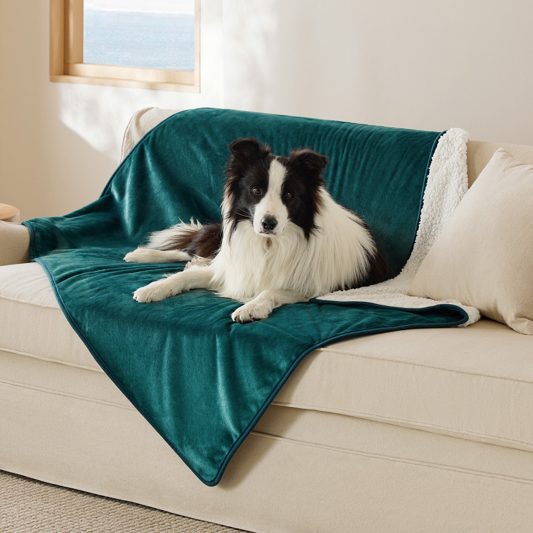 Reversible Sherpa and Microfiber Fleece Dog Blanket