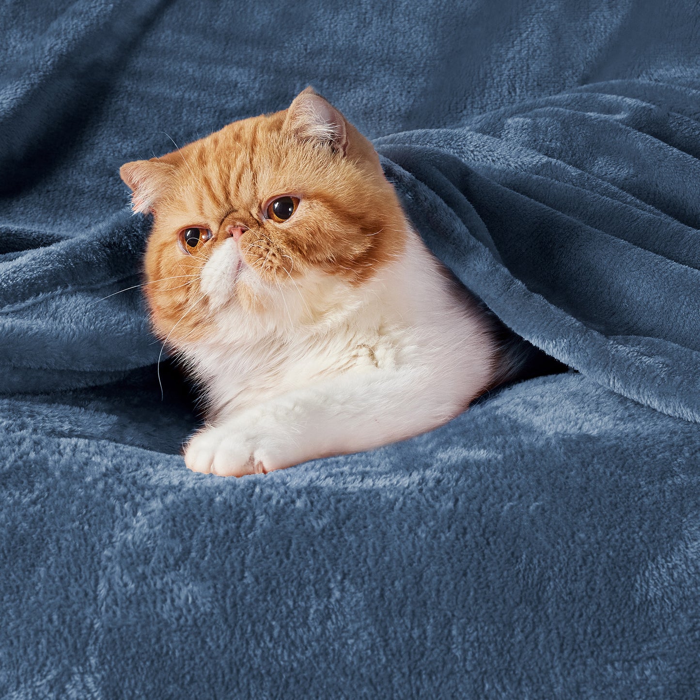 GentleSoft™ Flannel Fleece Blanket 280gsm