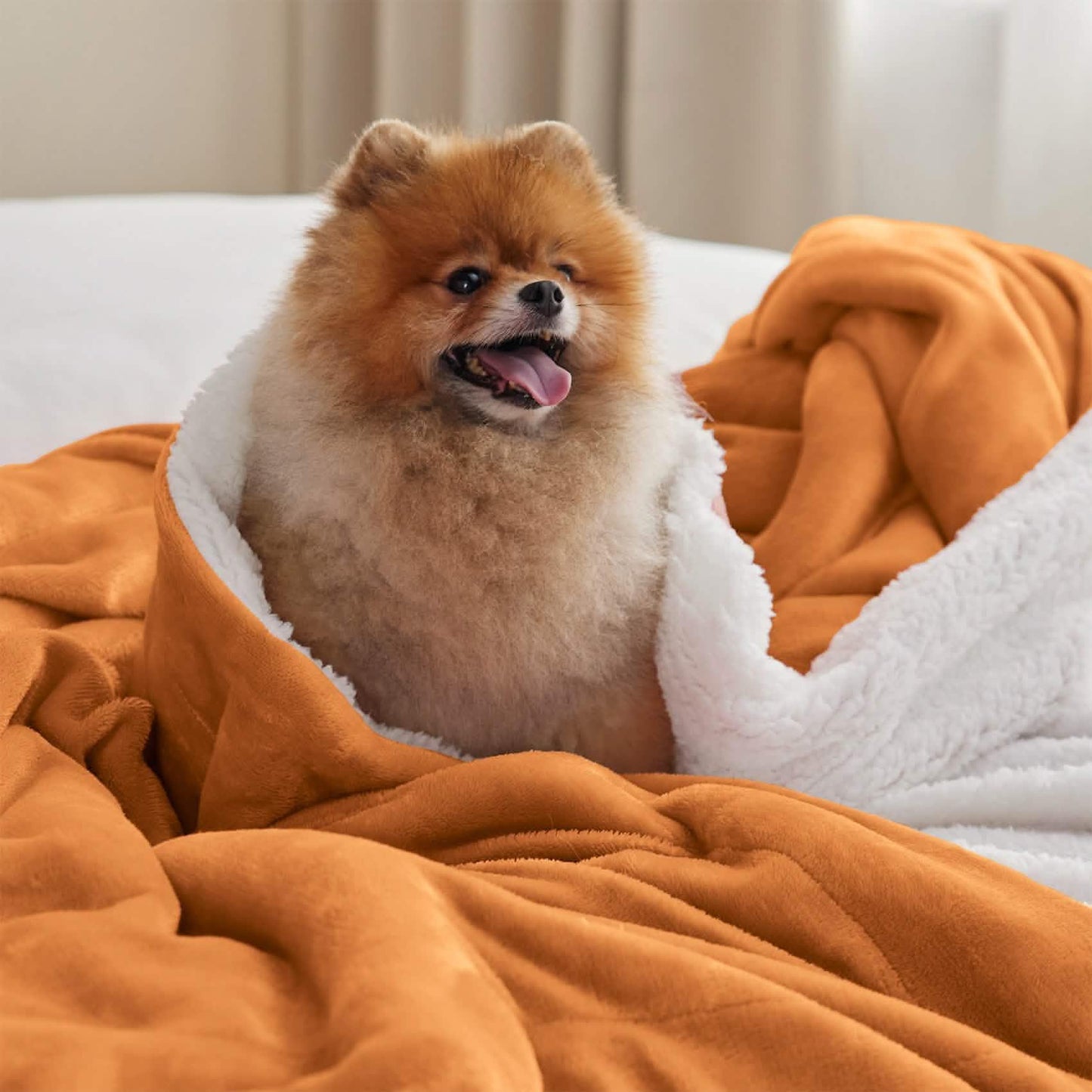 Sherpa Fleece Blanket