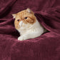 GentleSoft™ Flannel Fleece Blanket 280gsm
