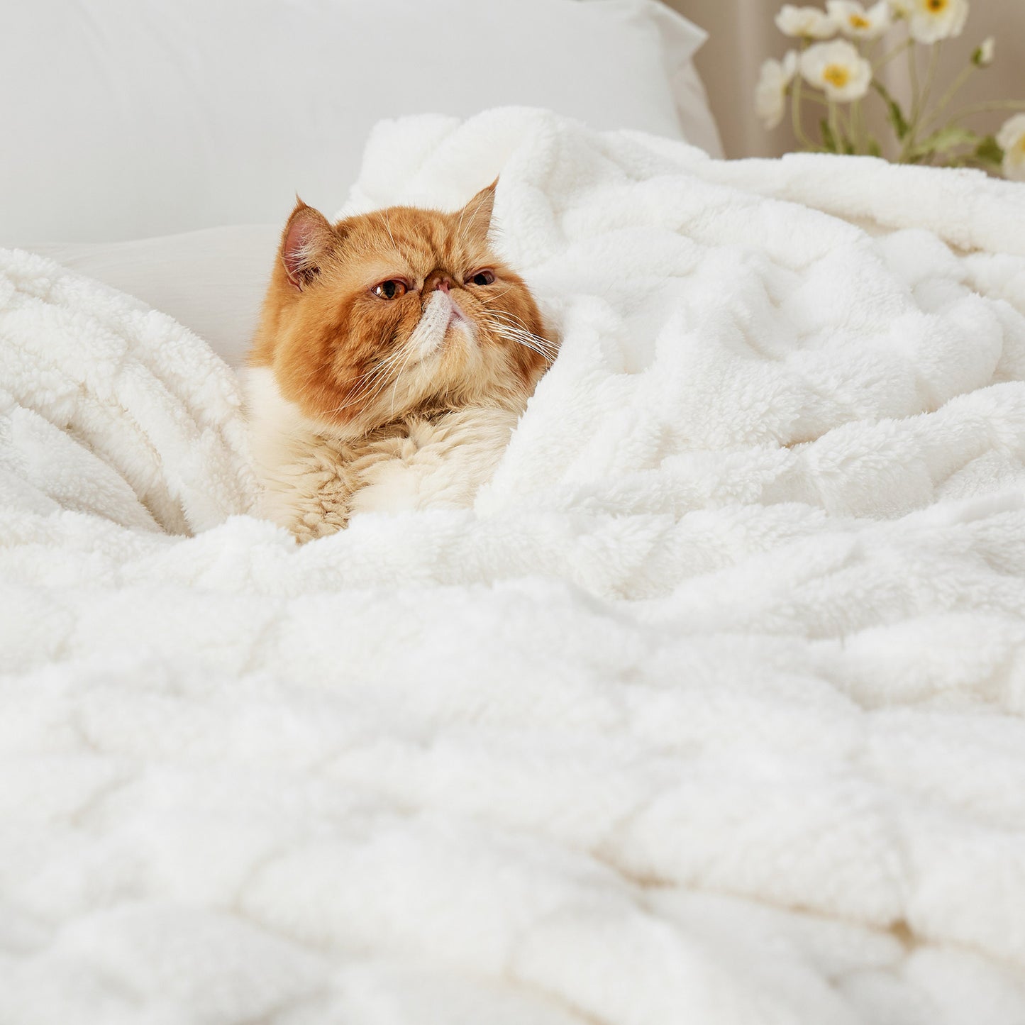 GentleSoft™ Jacquard Shaggy Sherpa Blanket