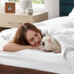 Cotton Percale Weave Sheet Set