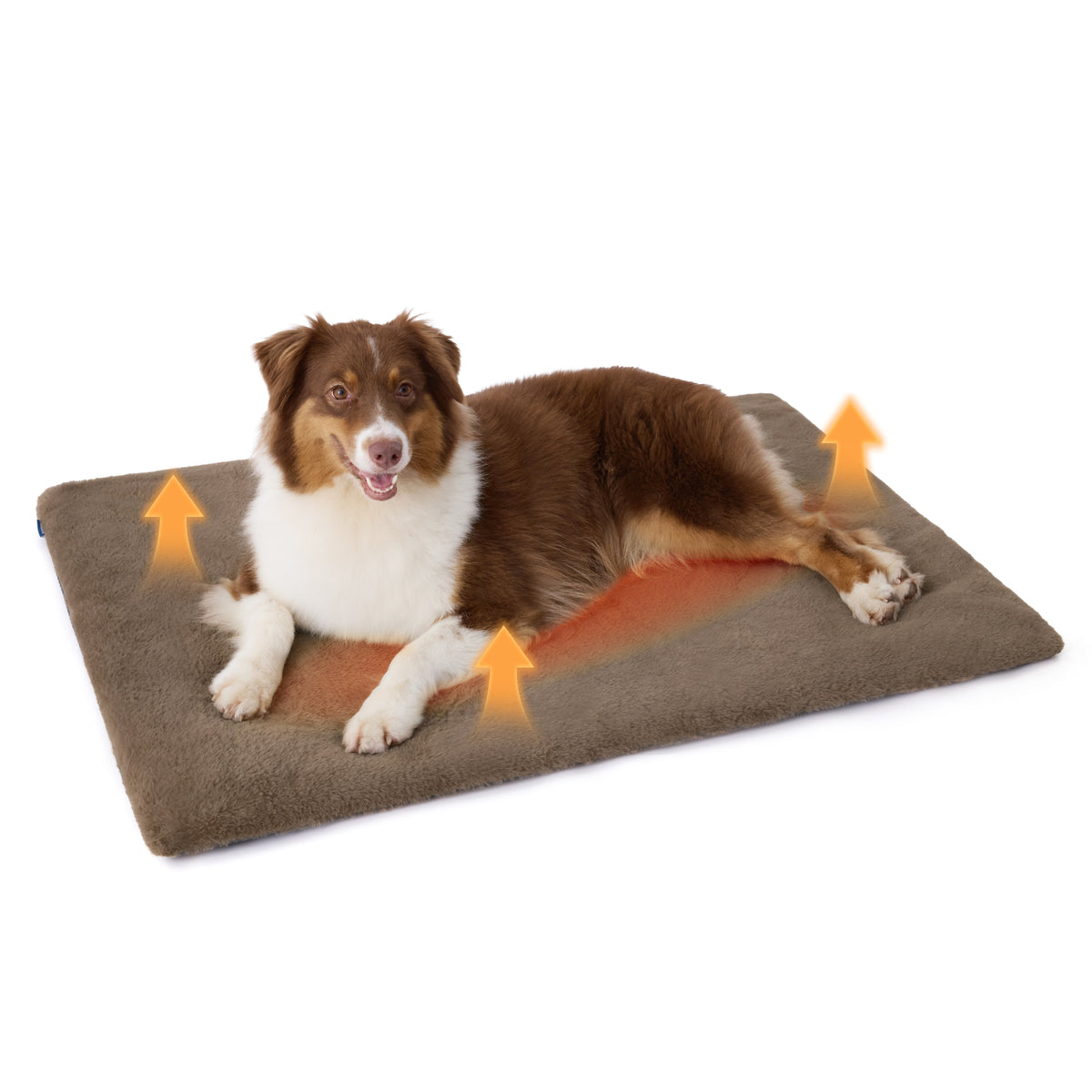 Self-Warming Cat Mat