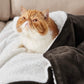 Sherpa Fleece Blanket
