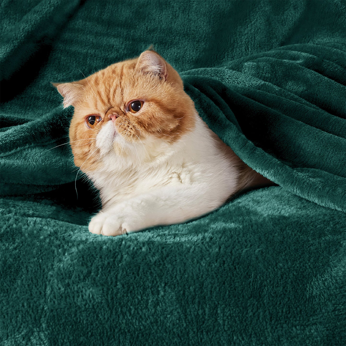 GentleSoft™ Flannel Fleece Blanket 280gsm