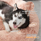 Calming Donut Bed for Dogs and Cats