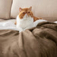 Sherpa Fleece Blanket