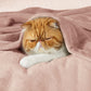 GentleSoft™ Flannel Fleece Blanket 280gsm
