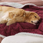 Waterproof Dog Blanket