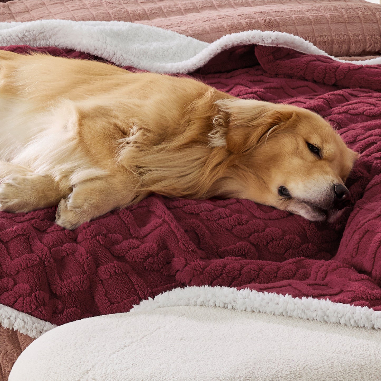 Waterproof Dog Blanket