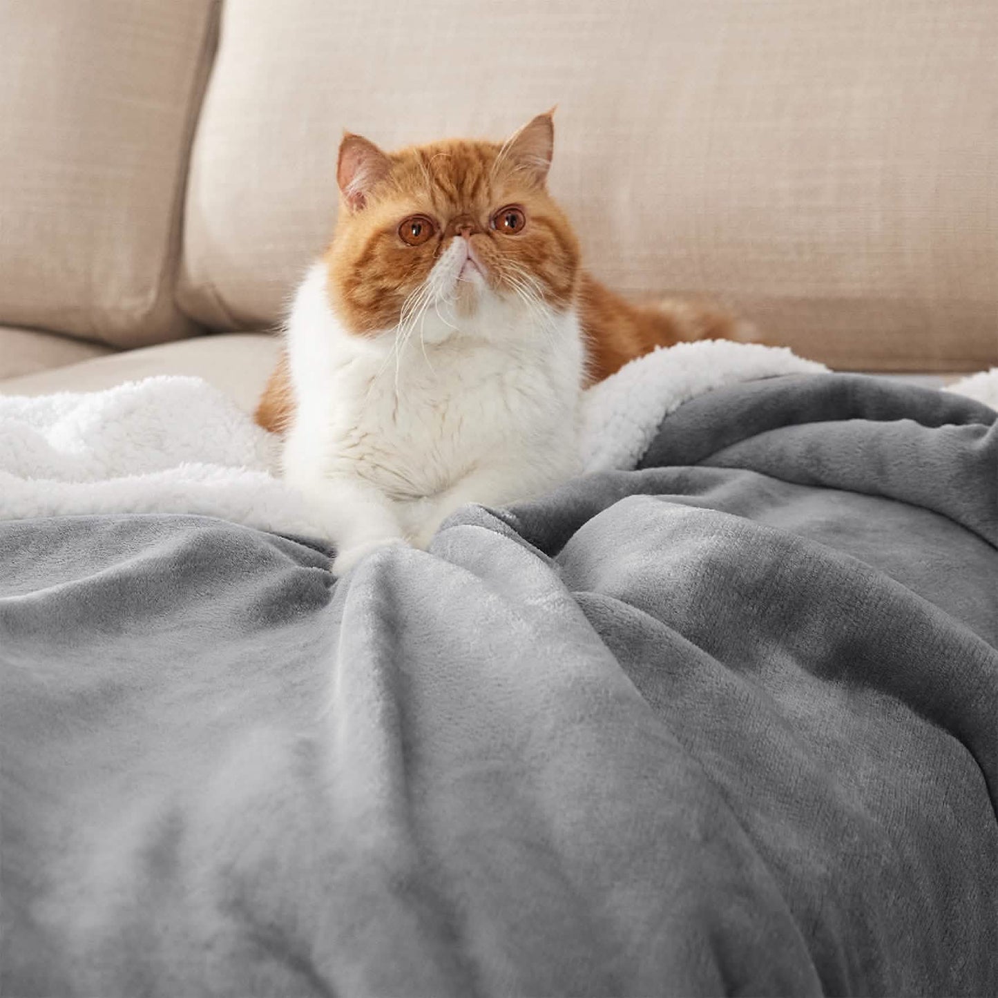 Sherpa Fleece Blanket