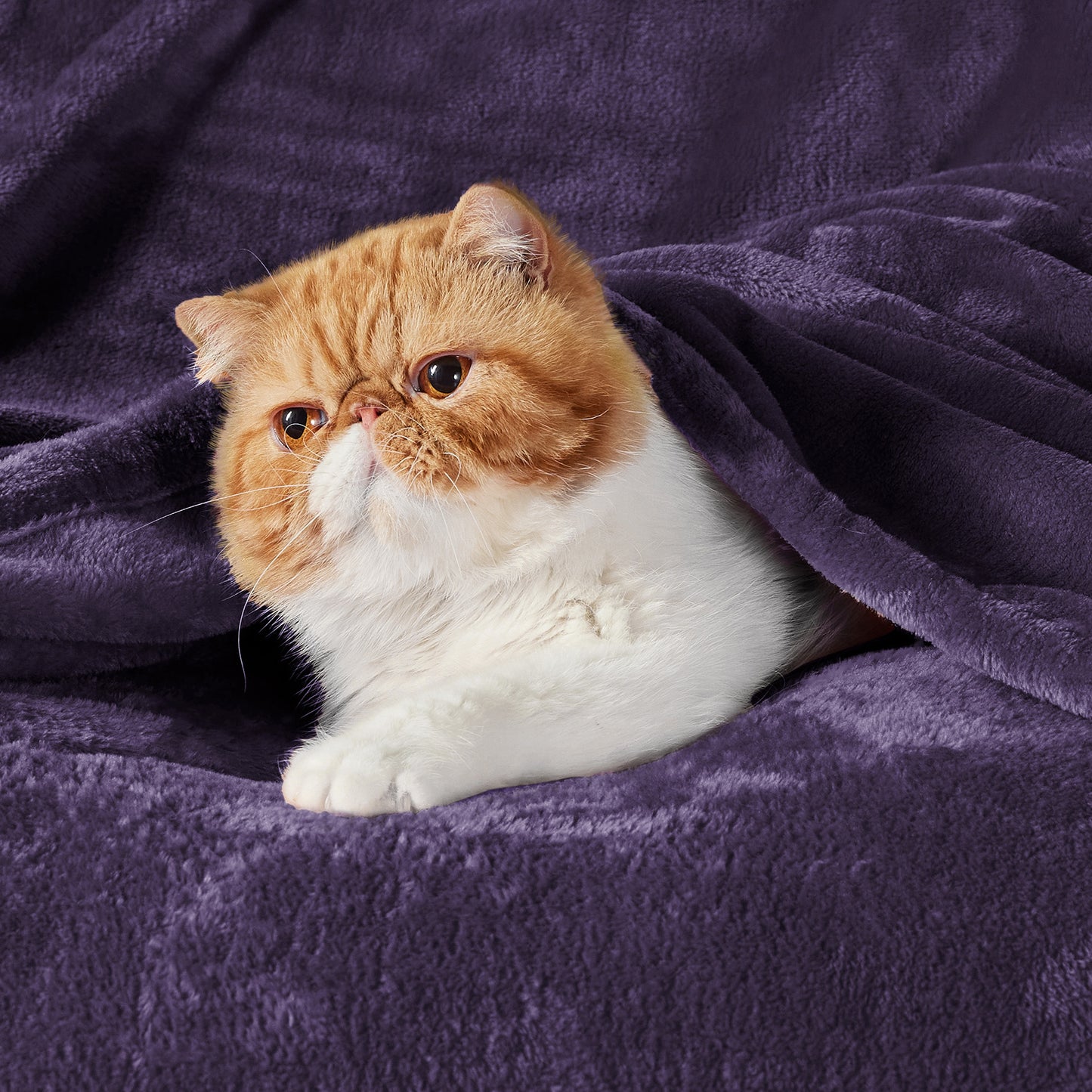 GentleSoft™ Flannel Fleece Blanket 280gsm