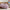 Rayon Derived From Bamboo Sheet Set