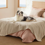 Reversible Sherpa and Microfiber Fleece Dog Blanket