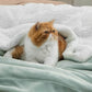 Sherpa Fleece Blanket