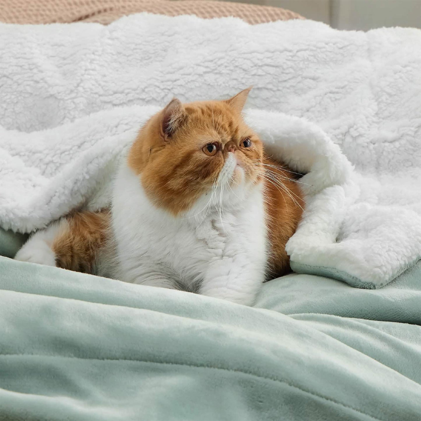 Sherpa Fleece Blanket