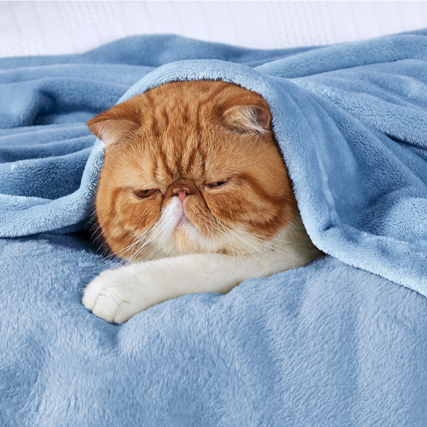 GentleSoft™ Flannel Fleece Blanket 280gsm