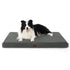 Grey Bedsure orthopedic egg foam pet mat with Border Collie, self-warming.