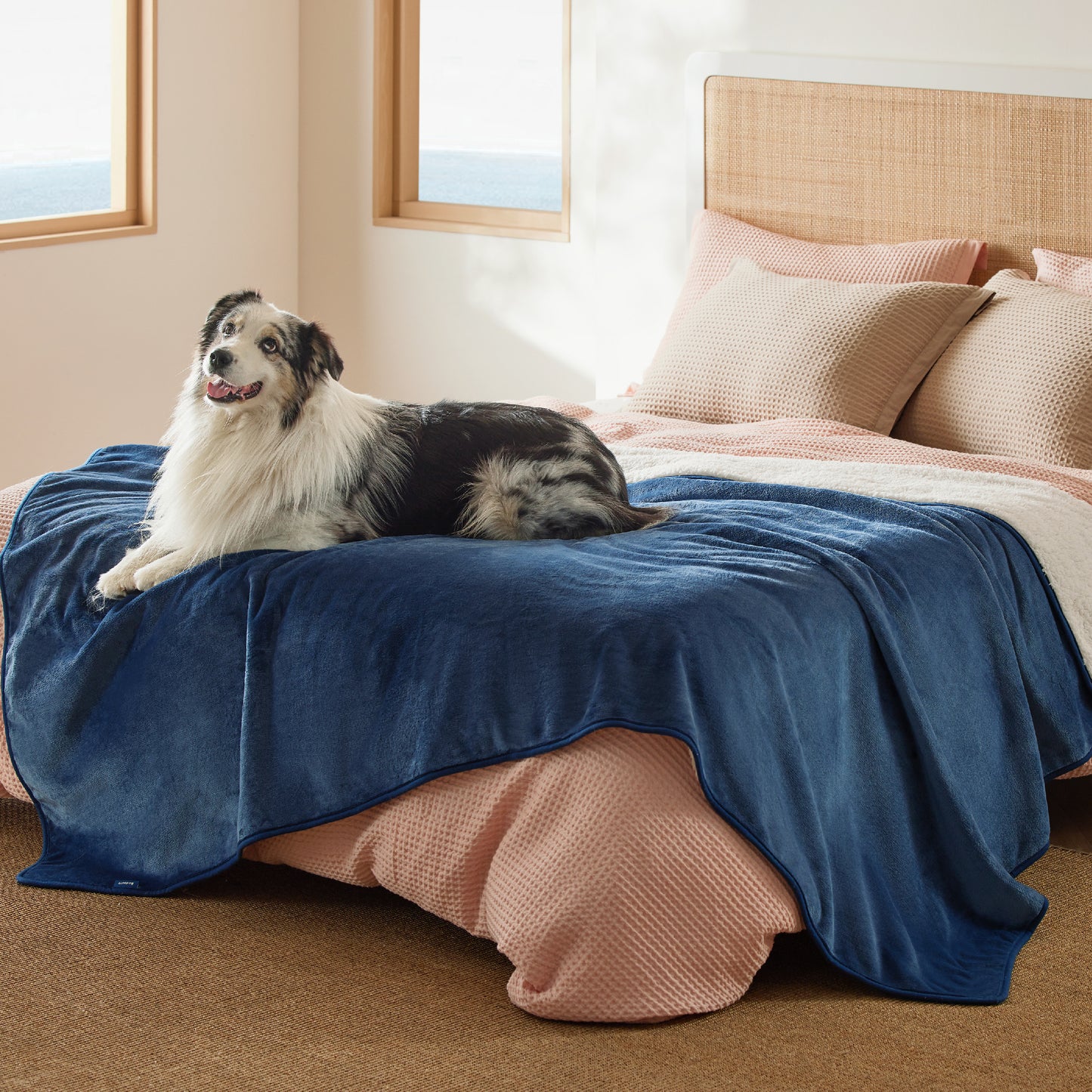 Reversible Sherpa and Microfiber Fleece Dog Blanket